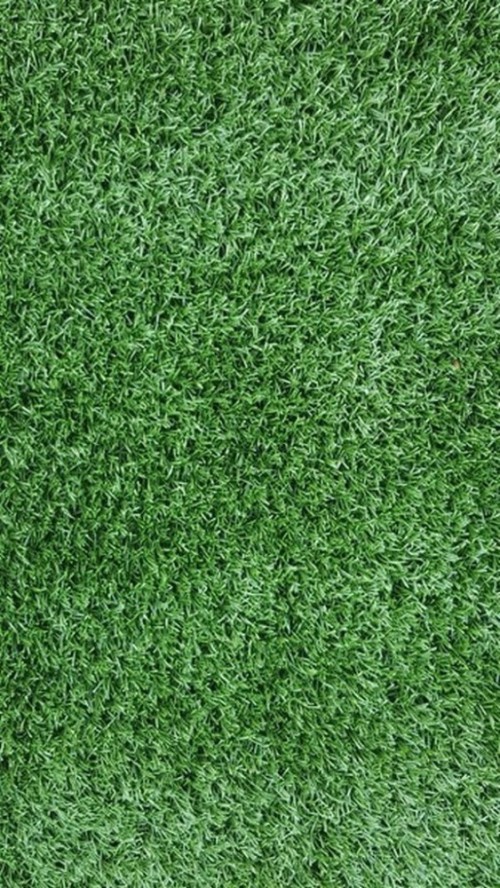 Kunstgras 5x2m (10m)